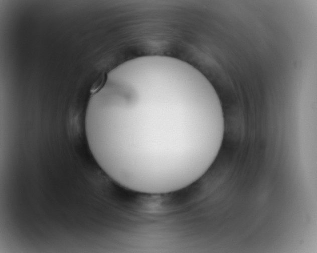 X0000089850131200707121725