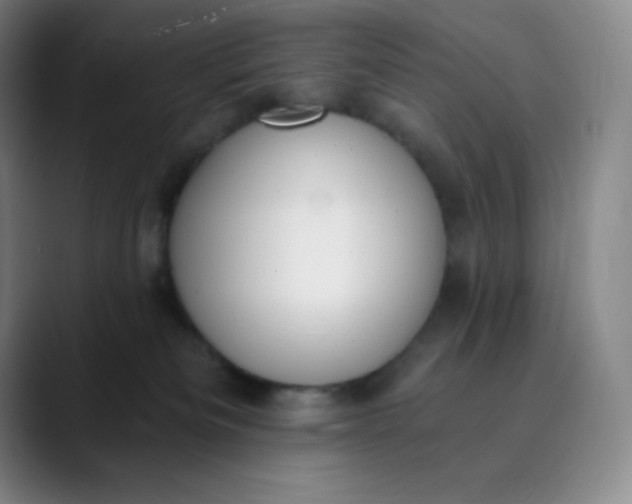 X0000089850133200707121725