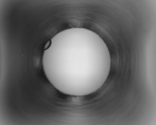 X0000089850134200707121725