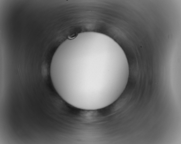 X0000089850135200707121725