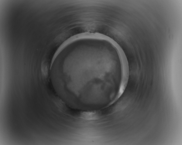 X0000089850139200707121725