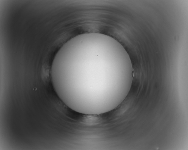 X0000089850141200707121725