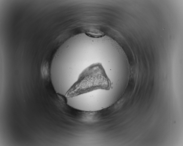 X0000089850143200707121725