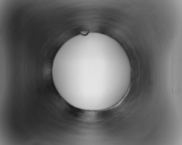 X0000089850144200707121725