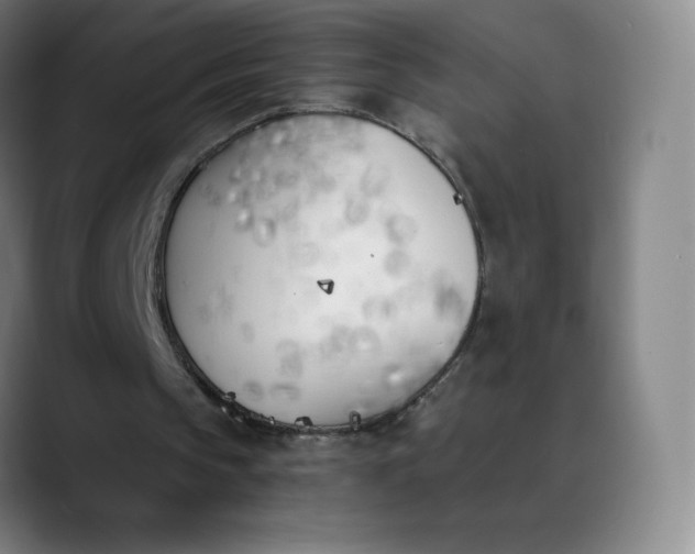 X0000089850145200707121724