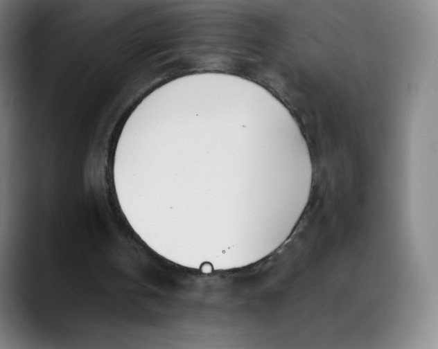 X0000089850146200707121724