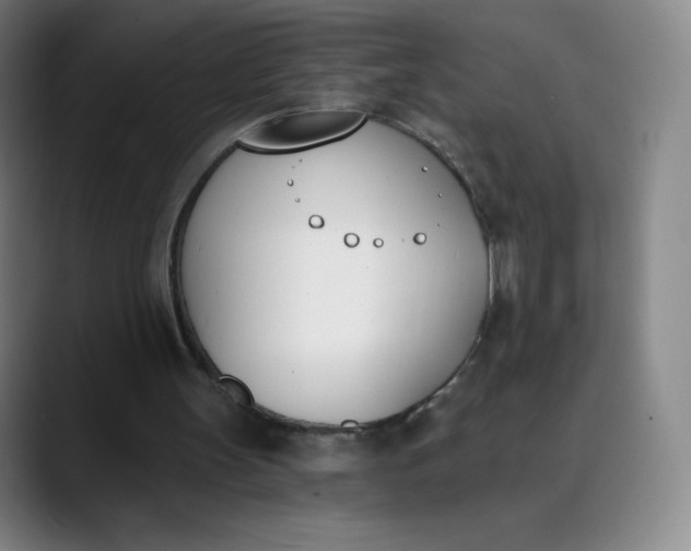 X0000089850147200707121724