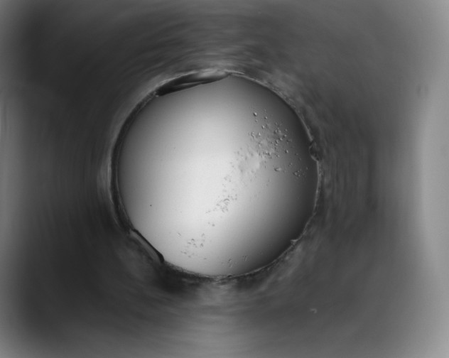 X0000089850148200707121724