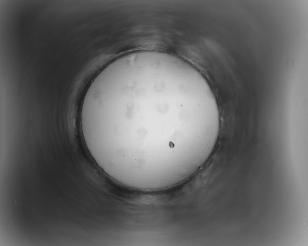 X0000089850149200707121724