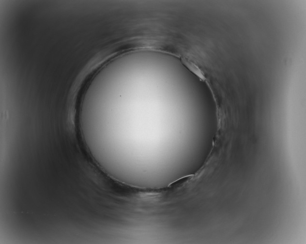 X0000089850150200707121724