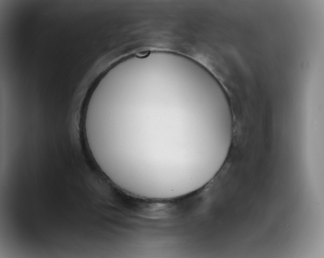 X0000089850151200707121724