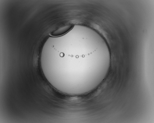 X0000089850153200707121724