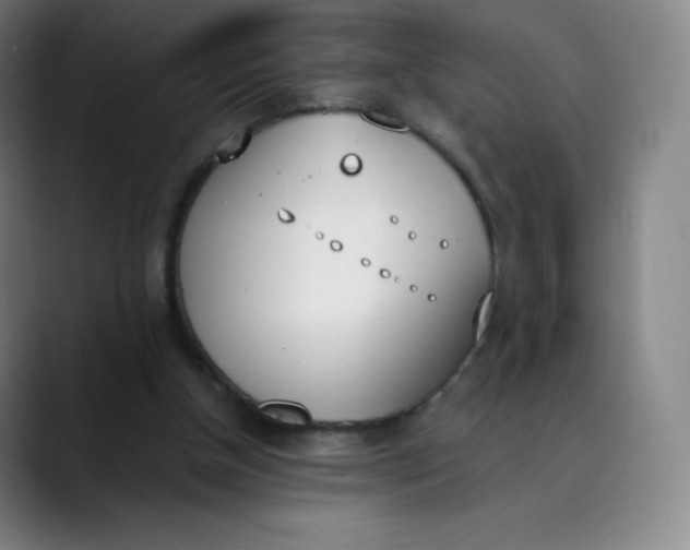 X0000089850154200707121724