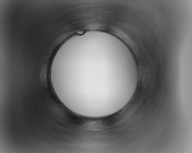 X0000089850155200707121724