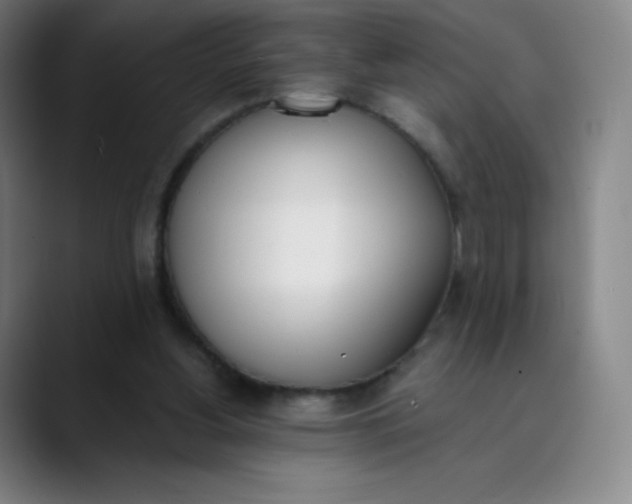 X0000089850156200707121724