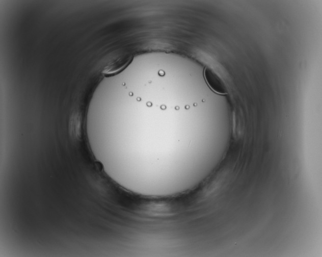 X0000089850157200707121724