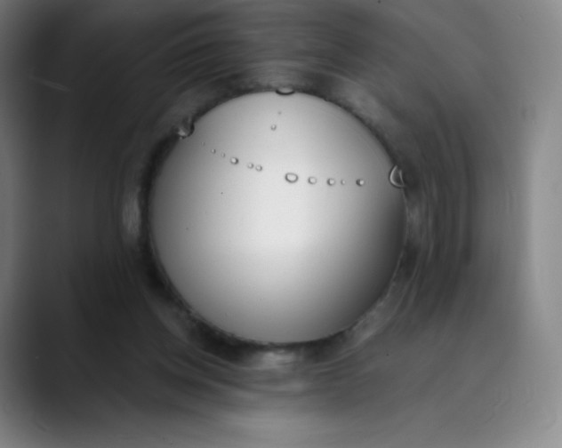 X0000089850158200707121724