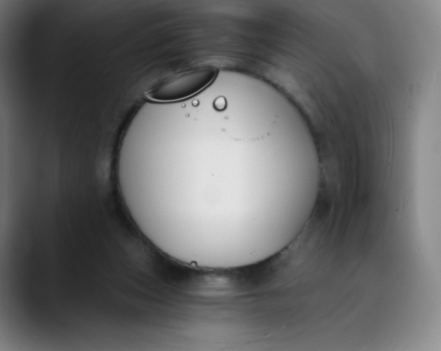 X0000089850159200707121724