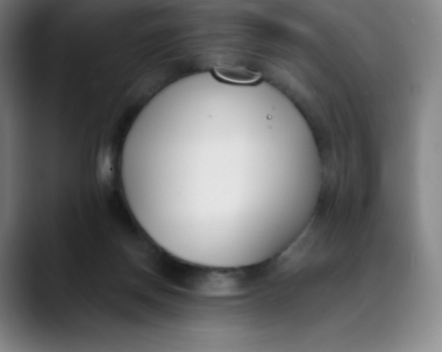 X0000089850166200707121724