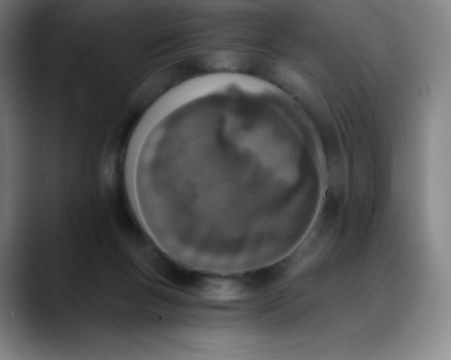 X0000089850167200707121724