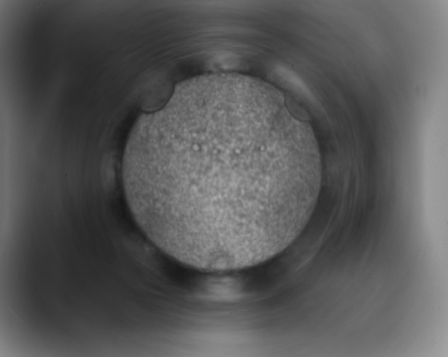 X0000089850169200707121724