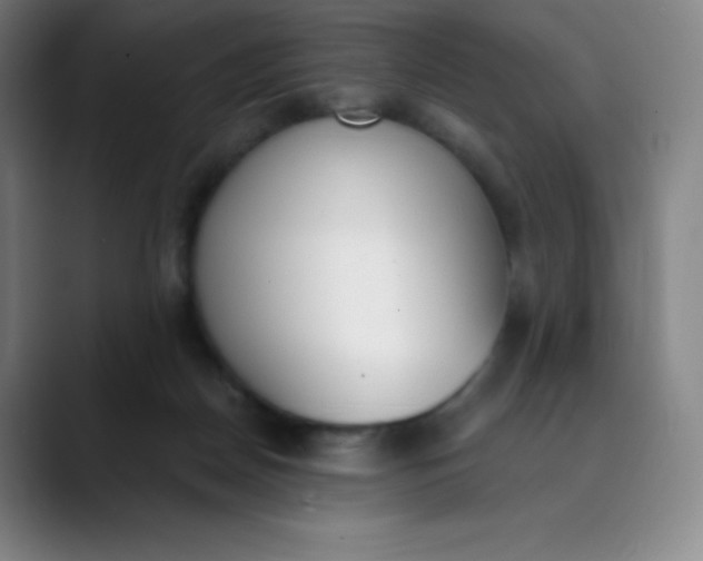 X0000089850170200707121724