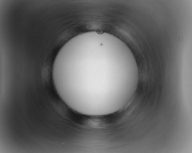 X0000089850171200707121724