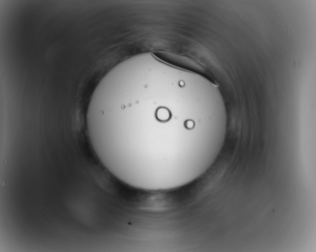 X0000089850173200707121724