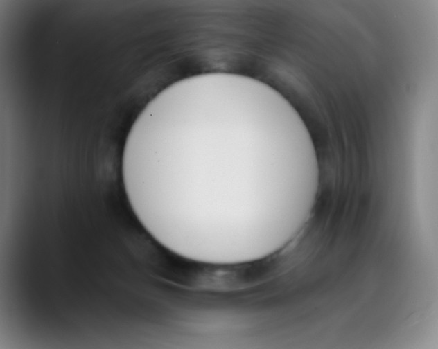 X0000089850174200707121724