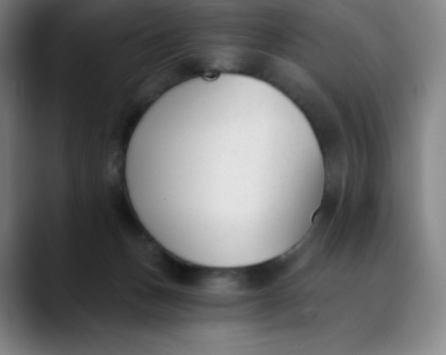 X0000089850175200707121724