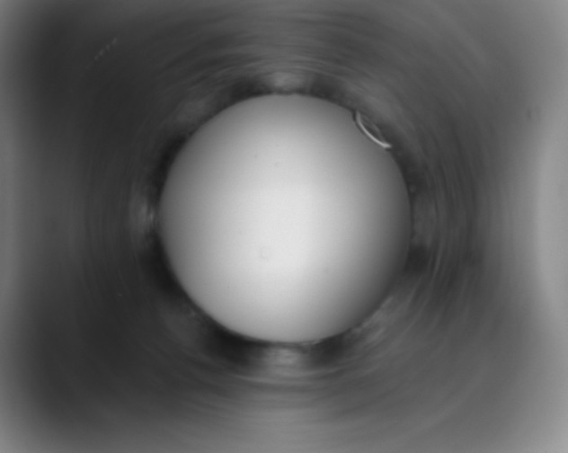 X0000089850176200707121724