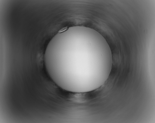 X0000089850184200707121724