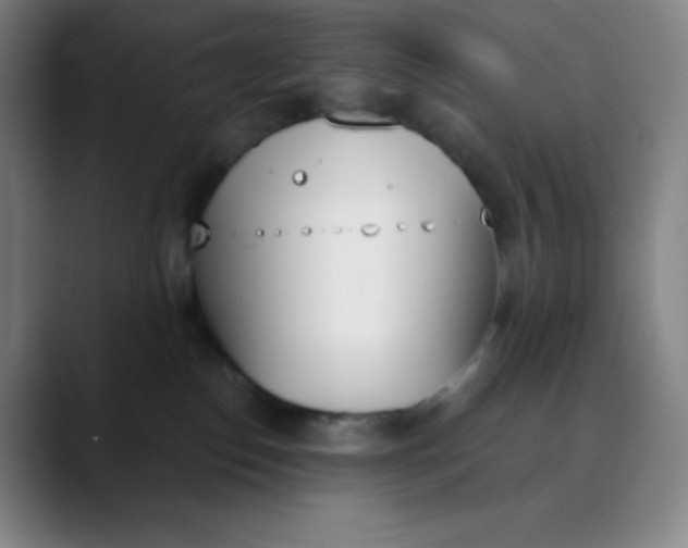 X0000089850186200707121724