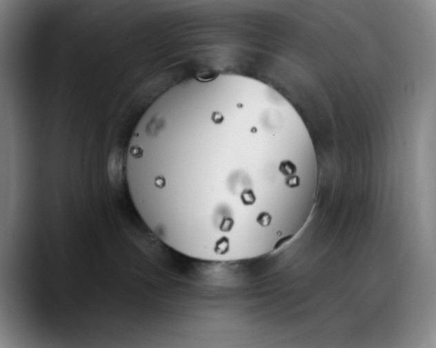 X0000089850191200707121725