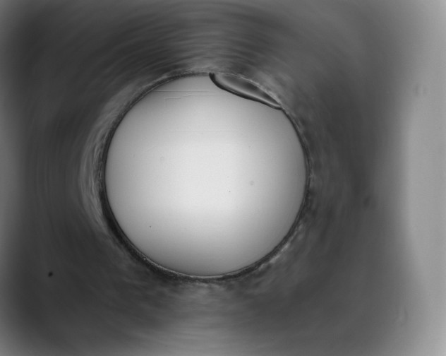 X0000089850193200707121724