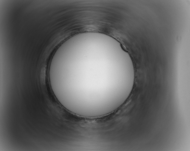 X0000089850194200707121724