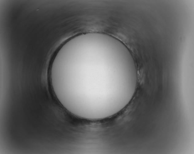 X0000089850196200707121724