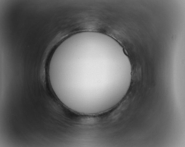 X0000089850198200707121724