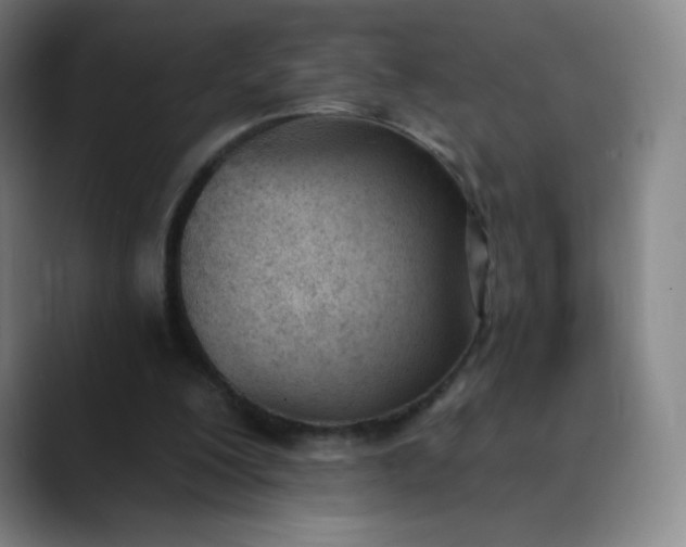 X0000089850200200707121724