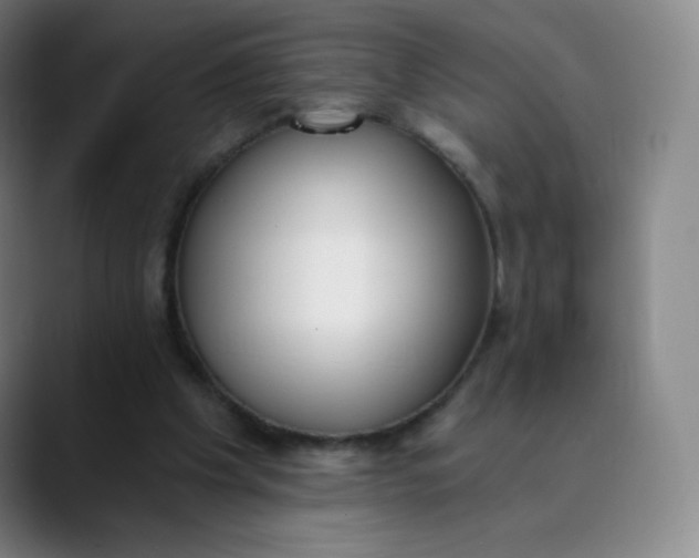 X0000089850201200707121724