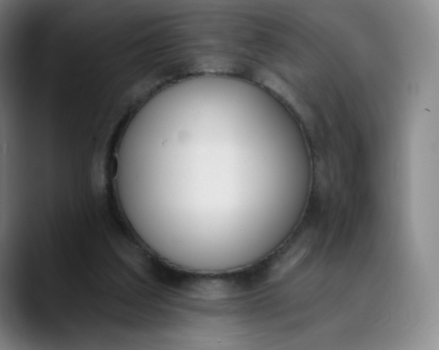 X0000089850203200707121724