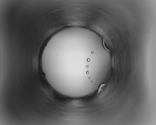 X0000089850204200707121724