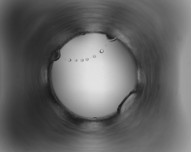 X0000089850205200707121724