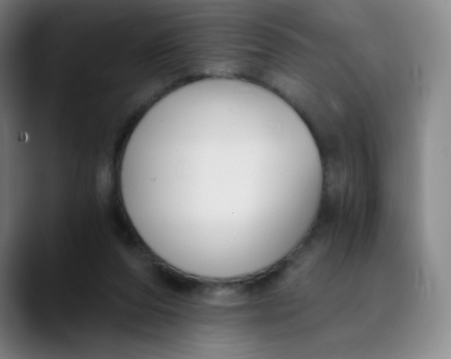 X0000089850208200707121724