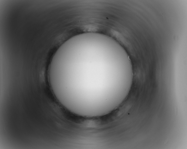 X0000089850209200707121724