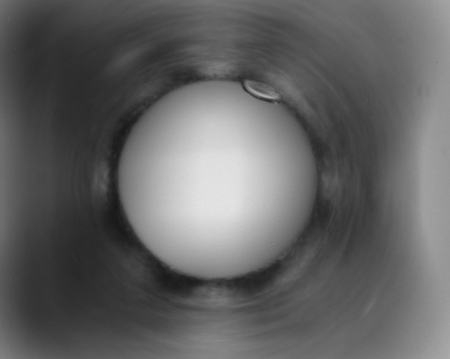 X0000089850211200707121724