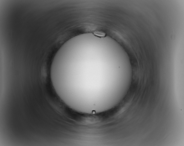 X0000089850215200707121724