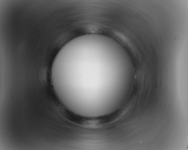 X0000089850217200707121724