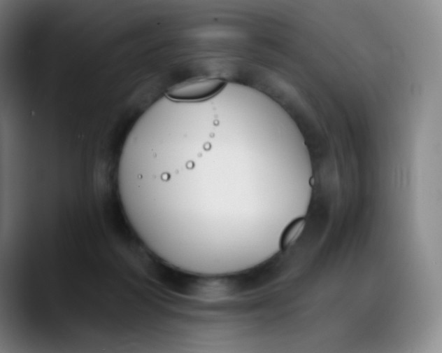 X0000089850218200707121724