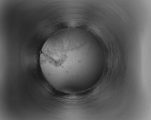 X0000089850219200707121724